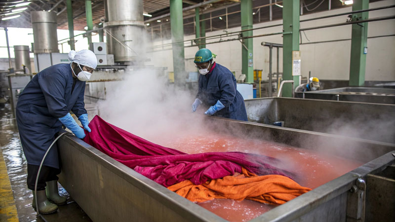 Polyester dyeing high temperature resistance